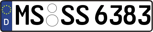 MS-SS6383