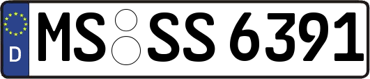 MS-SS6391