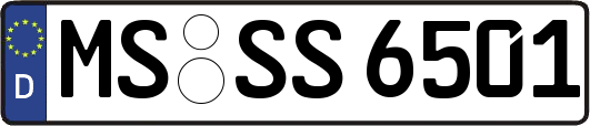 MS-SS6501