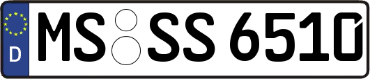 MS-SS6510