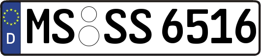 MS-SS6516