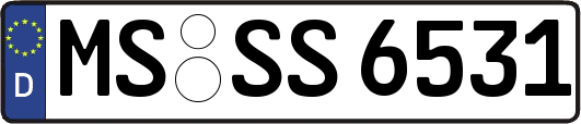 MS-SS6531