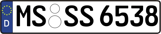 MS-SS6538
