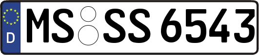 MS-SS6543