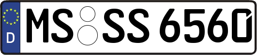 MS-SS6560