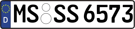 MS-SS6573