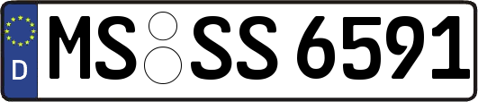 MS-SS6591