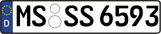 MS-SS6593