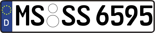 MS-SS6595