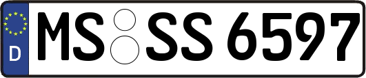 MS-SS6597
