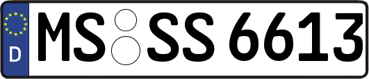 MS-SS6613