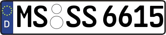 MS-SS6615