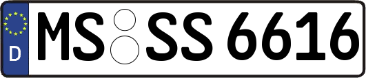 MS-SS6616