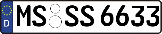MS-SS6633