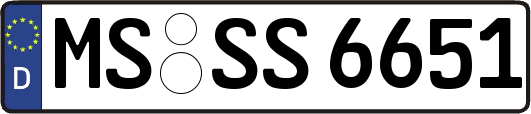 MS-SS6651