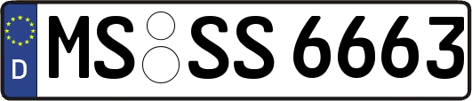 MS-SS6663