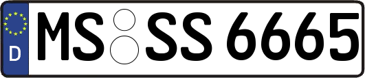MS-SS6665