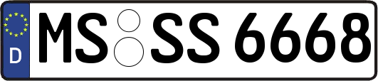 MS-SS6668