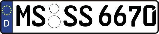 MS-SS6670