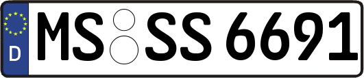 MS-SS6691