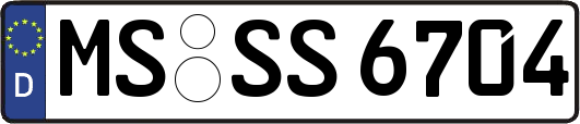MS-SS6704