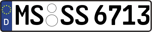 MS-SS6713