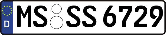 MS-SS6729