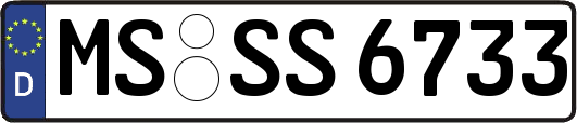 MS-SS6733
