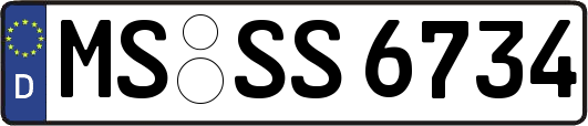 MS-SS6734