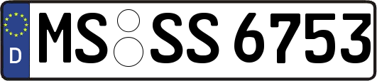 MS-SS6753