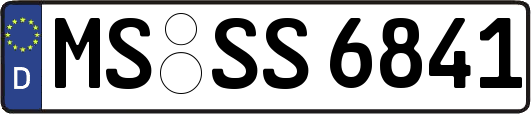 MS-SS6841