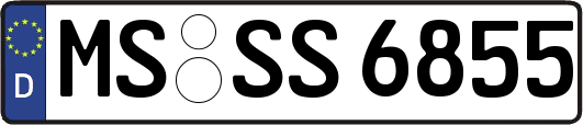 MS-SS6855