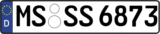 MS-SS6873