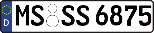 MS-SS6875