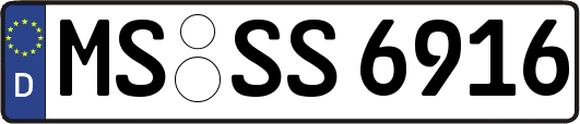 MS-SS6916