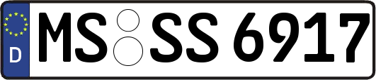 MS-SS6917