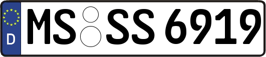 MS-SS6919