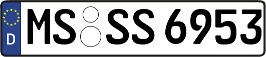 MS-SS6953