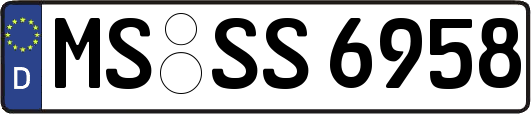 MS-SS6958