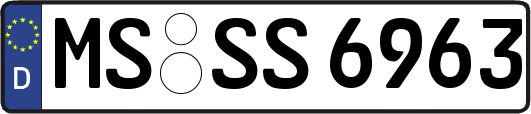 MS-SS6963