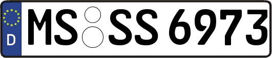 MS-SS6973