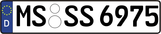 MS-SS6975