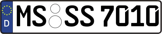 MS-SS7010