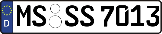 MS-SS7013