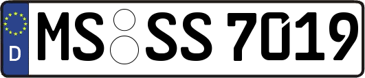 MS-SS7019