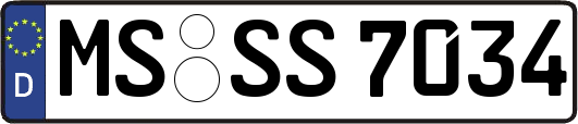 MS-SS7034