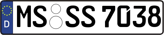 MS-SS7038