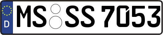 MS-SS7053