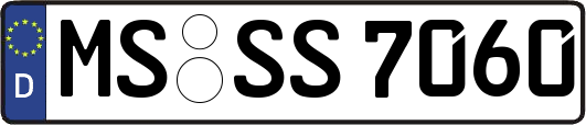 MS-SS7060