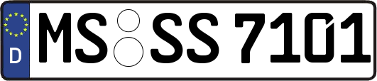 MS-SS7101